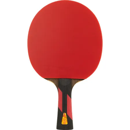 Ракетка для н/т DOUBLE FISH 7A+C, для професс.,ITTF Appr.,накл.2,1мм,+ 2 мяча V40+мм ITTF Appr за 3&nbsp;559.80 ₽ купить в Чите