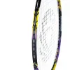 Ракетка бадм. TORRES Carbon PRO6, BD20521,для продв., стерж/обод из карбона,со струнами, фиол за 4&nbsp;477.80 ₽ купить в Чите