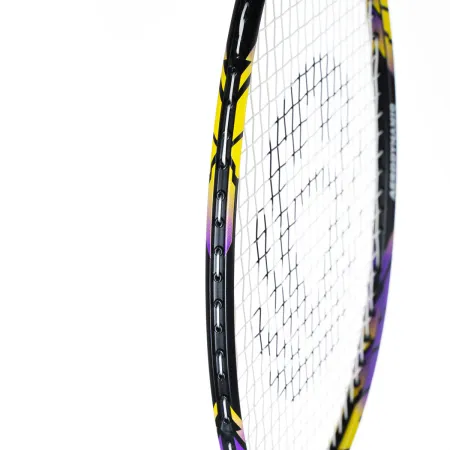Ракетка бадм. TORRES Carbon PRO6, BD20521,для продв., стерж/обод из карбона,со струнами, фиол за 4&nbsp;477.80 ₽ купить в Чите