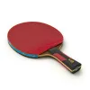 Ракетка для н/т DOUBLE FISH 7A+C, для професс.,ITTF Appr.,накл.2,1мм,+ 2 мяча V40+мм ITTF Appr за 3&nbsp;559.80 ₽ купить в Чите