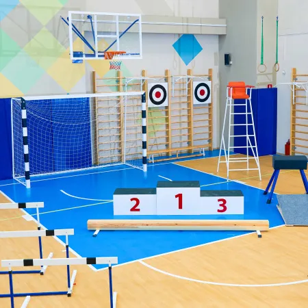 Щит для метания навесной на шведскую стенку (фанера) 700х700 ZAVODSPORTA за 8&nbsp;960 ₽ купить в Чите