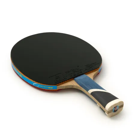 Ракетка для н/т DOUBLE FISH 5A+C, для продвин, ITTF Appr, накл. 2,1 мм, конич. ручка+ 2 мяча V40+мм за 2&nbsp;779.50 ₽ купить в Чите