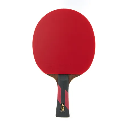 Ракетка для н/т DOUBLE FISH 7A+C, для професс.,ITTF Appr.,накл.2,1мм,+ 2 мяча V40+мм ITTF Appr за 3&nbsp;559.80 ₽ купить в Чите