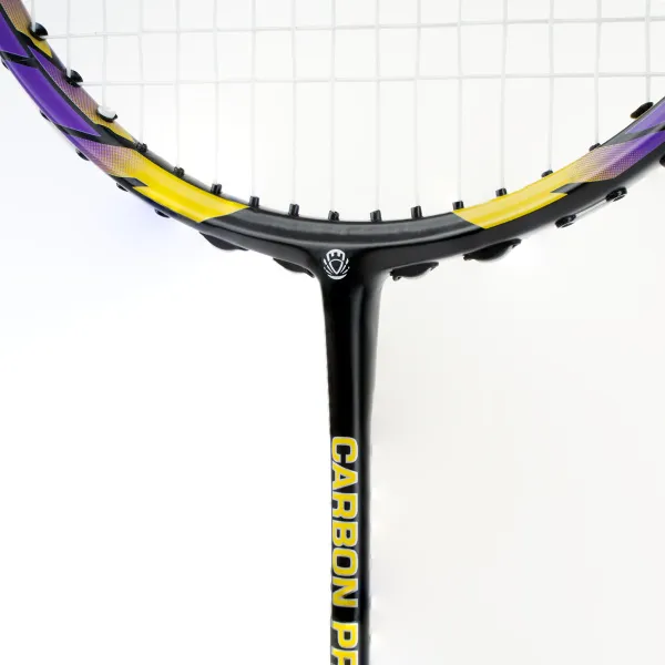 Ракетка бадм. TORRES Carbon PRO6, BD20521,для продв., стерж/обод из карбона,со струнами, фиол за 4&nbsp;477.80 ₽ в Чите