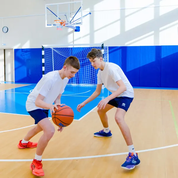 Щит баскетбольный игровой (монолитный поликарбонат) 1050х1800 мм ZAVODSPORTA за 47&nbsp;600 ₽ в Чите